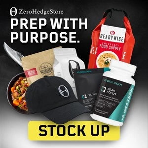 Zerohedge store image